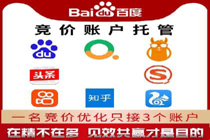 SEM运营公司案例研究：优化广告投放策略